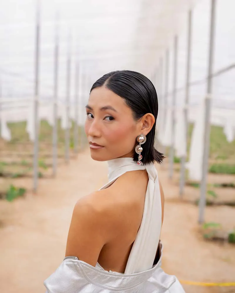 BOYA-PLATEADA-MODELO-4