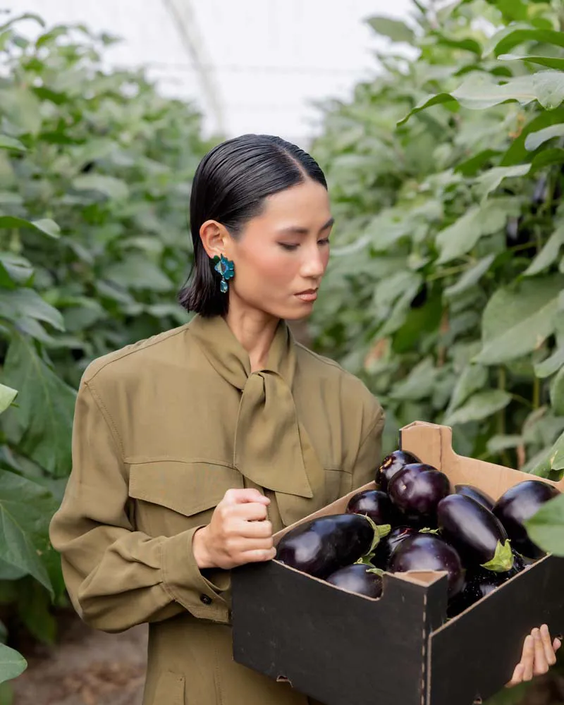 HOJA-CALABACIN-MODELO-2