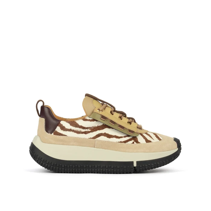 Kapok_Pinto_Zebra_out_e02896f9-9f57-4c7c-adc4-58388b6636f1