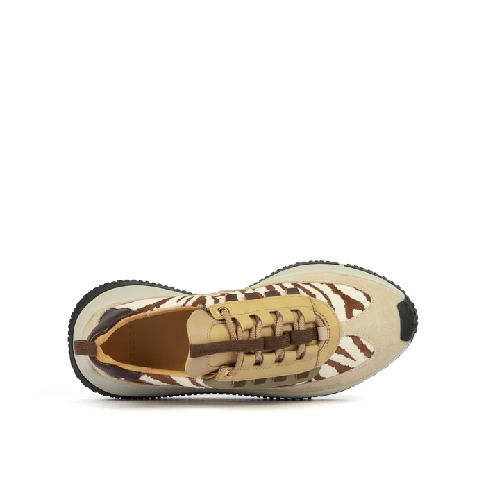 Kapok_Pinto_Zebra_top_1c5b29fb-5896-4121-9df1-88ed9fbf8814